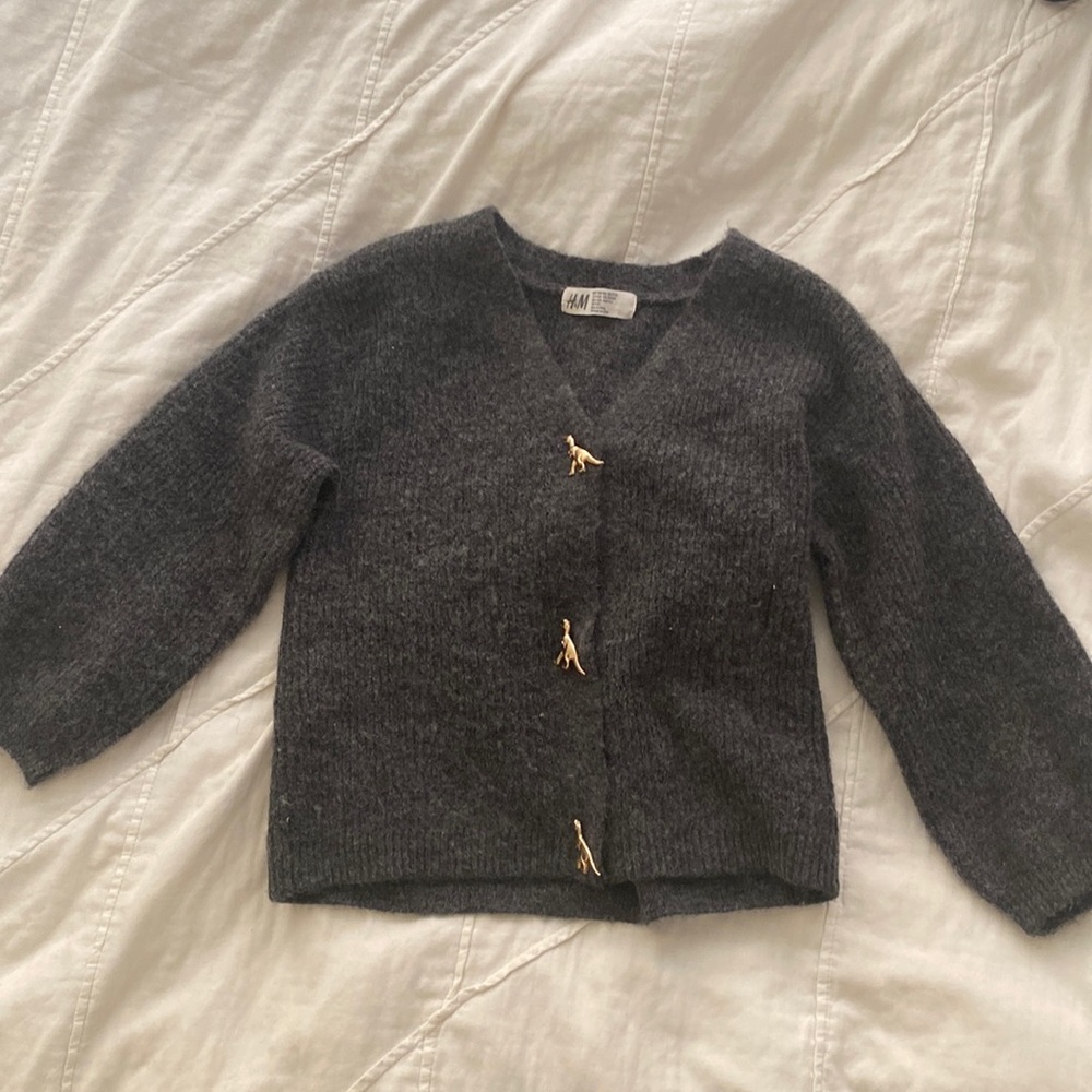 Charcoal Grey Cardigan with Gold Dinosaur Buttons